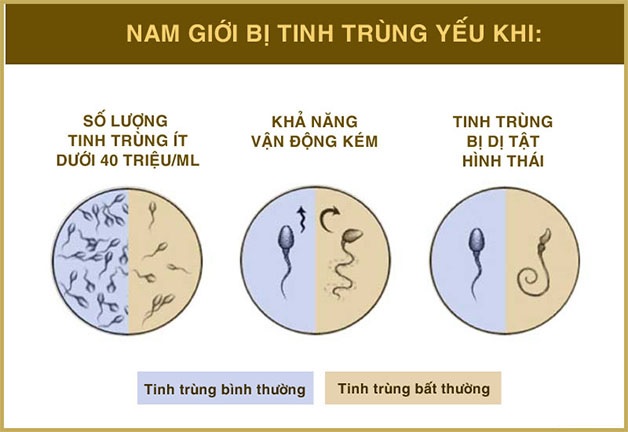 tinh trùng yếu 01