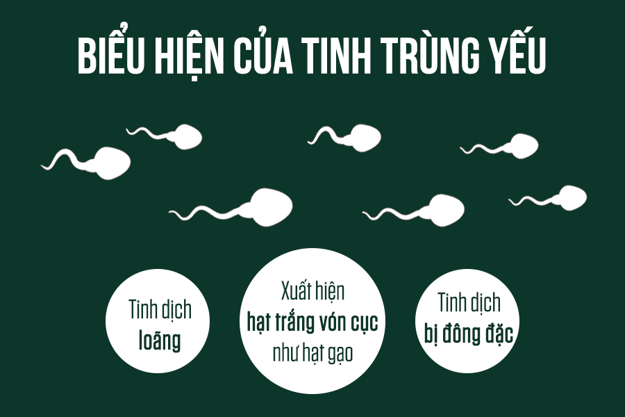 biểu hiện tinh trùng yếu