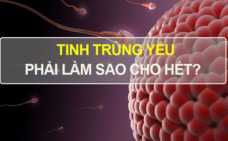 tinh trùng yếu